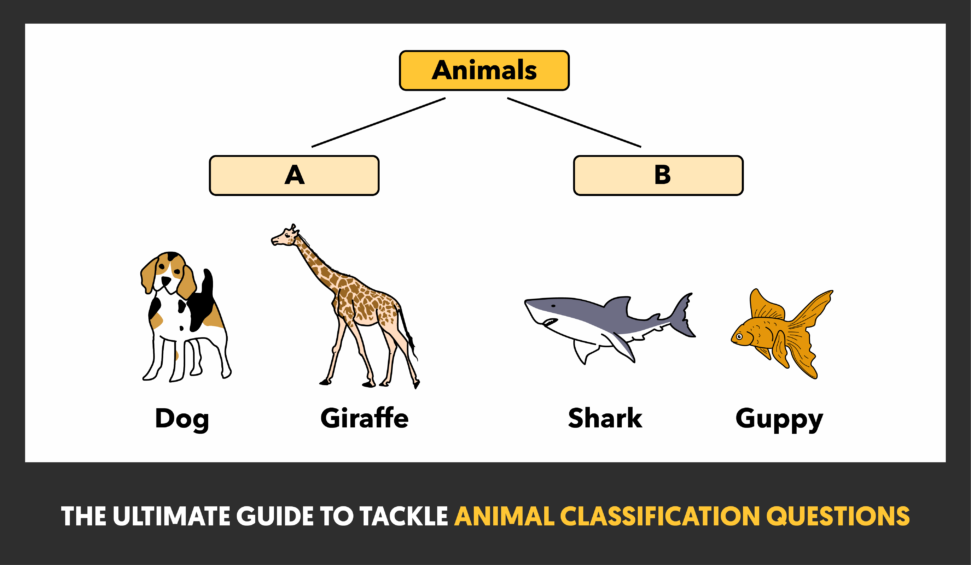 The Ultimate Guide To Tackle Animal Classification Questions