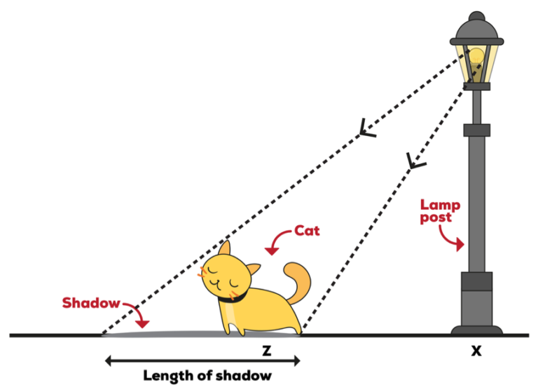 Light Energy Why Does the Length of a Shadow Change? Primary School