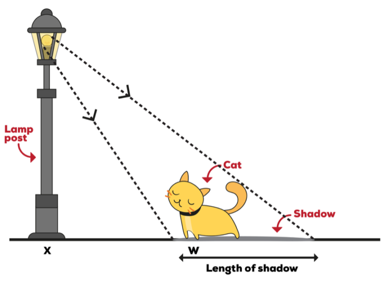 Light Energy Why Does the Length of a Shadow Change? Primary School
