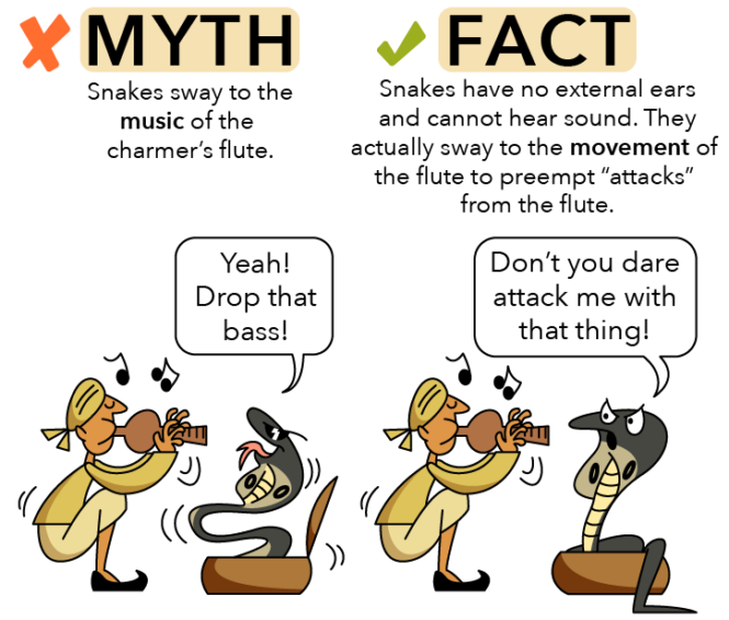 How to Be a "Snake Charmer" Using Primary School Science