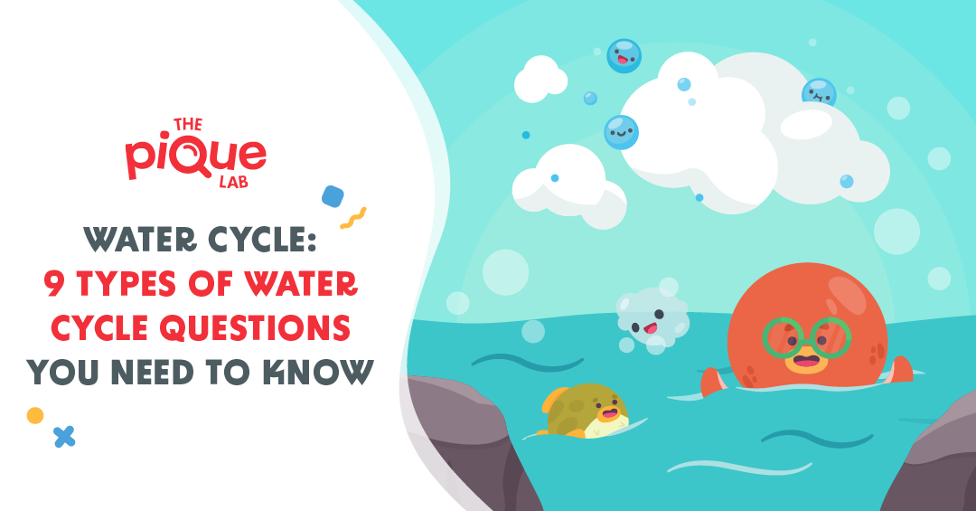 Water Cycle: 9 Types of Water Cycle Questions You Need To Know