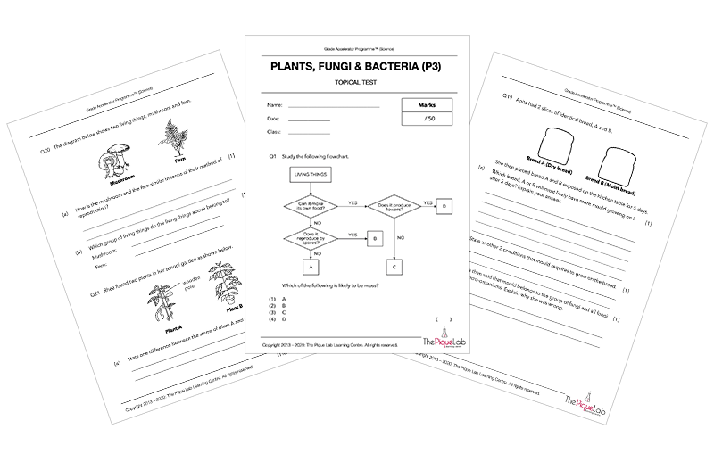 The P3 Lab - Possible, Probable, and Powerful