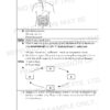 2019 P4 Science SA1 Answer Set - Image 3