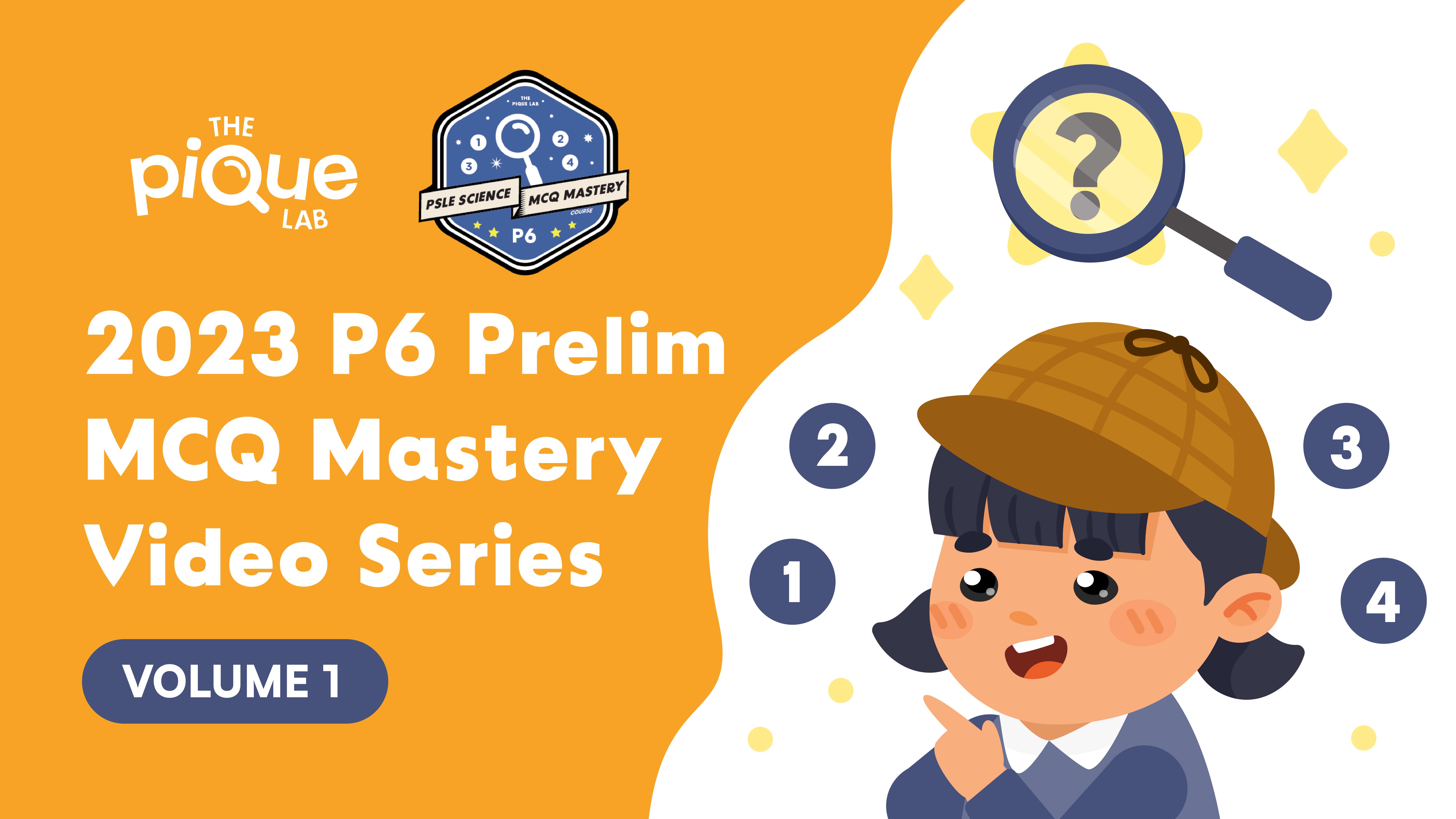TPL 2023 P6 SA2 MCQ Mastery Video Series - Vol 1