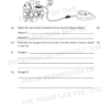Ultimate Lower Secondary Science Practice Series (S1 & S2 Topics) – Recommended For G3/IP/IB/IGCSE Students - Image 3