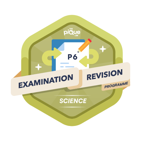 Science CCI ERP Logos_P6